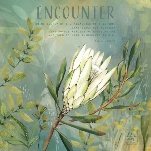 Encounter
