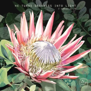 He Turns Darkness Into Light