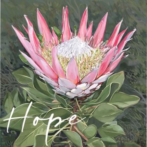 Hope Protea