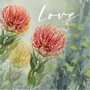 Love Protea