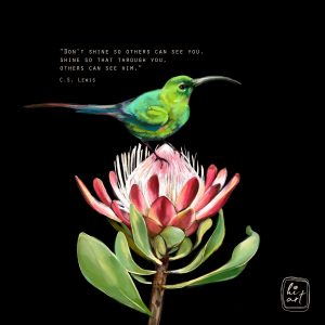 Sunbird (C.S. Lewis)